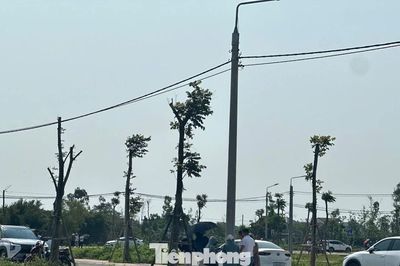 Hà Tĩnh: Đất nông thôn vùng quê bất ngờ 'sốt', ô tô đổ về kín đường
