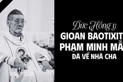 Đức Hồng y Gioan Baotixita Phạm Minh Mẫn qua đời