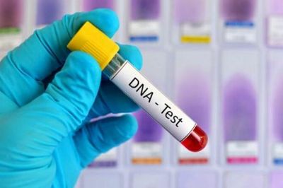 Kỳ lạ 4 lần giám định ADN, vẫn không tìm ra người cha