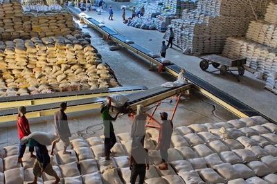 Tạo điều kiện thúc đẩy xuất khẩu gạo