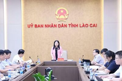 Phó Chủ tịch UBND tỉnh Vũ Thị Hiền Hạnh chủ trì họp triển khai nhiệm vụ về giáo dục và đào tạo