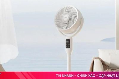 Cách chọn máy quạt phù hợp cho phòng ngủ và phòng khách