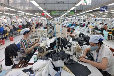 Tìm 'động lực sinh tồn' giữa biến động địa chính trị toàn cầu