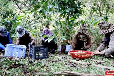 Chung tay hỗ trợ người dân khắc phục thiệt hại do mưa đá
