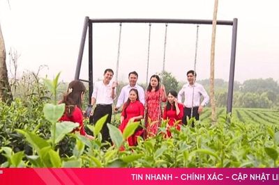 Nông nghiệp đa giá trị, nông dân thu lãi kép