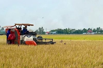 Đưa carbon trở thành tài sản