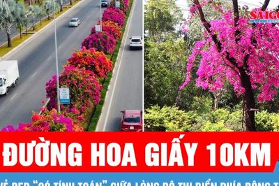 Đường hoa giấy 10km: Vẻ đẹp 'có tính toán' giữa lòng đô thị biển phía Đông TPHCM