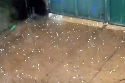 Hà Nội xuất hiện mưa đá