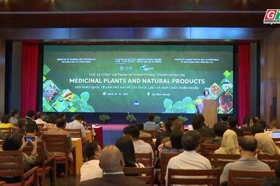 Dược liệu - điểm chạm giữa khoa học và du lịch Gia Lai 2026