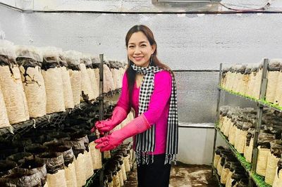 Biến rơm rạ thành 'vàng': Nữ giám đốc HTX thu 20 tấn nấm mỗi năm