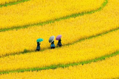 Định hình 6 không gian du lịch liên vùng gắn với phát triển bền vững