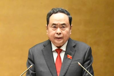 Đại biểu Quốc hội cần có khả năng phân tích, tầm nhìn dài hạn