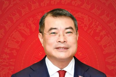 Chân dung Thủ tướng Chính phủ Lê Minh Hưng