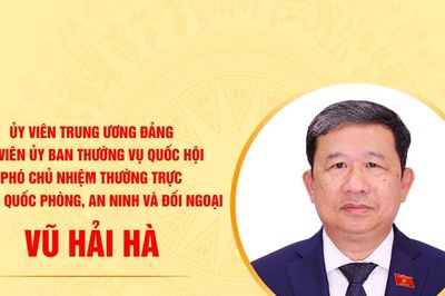 Tiểu sử đồng chí Vũ Hải Hà, Ủy viên Ủy ban Thường vụ Quốc hội khóa XVI