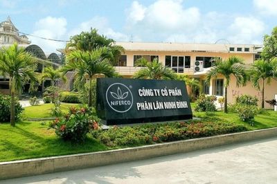 Niferco đặt mục tiêu lập đỉnh doanh thu năm thứ 5 liên tiếp