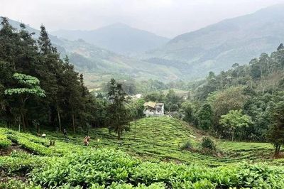 Học sinh khu vực III, vùng đồng bào dân tộc thiểu số, có được giảm 70% học phí?
