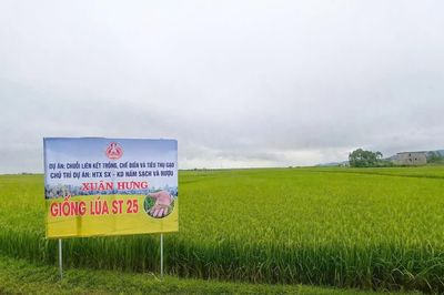 Sản xuất theo đơn đặt hàng: Mở hướng đi bền vững cho nông sản