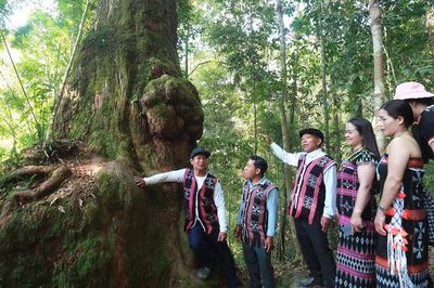 'Vương quốc' của những gốc cây báu vật ngàn tuổi ở Đà Nẵng