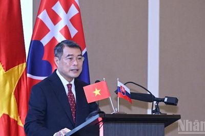 Tăng cường hợp tác doanh nghiệp Việt Nam-Slovakia, cụ thể hóa quan hệ Đối tác chiến lược vừa thiết lập