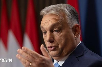 Bầu cử Hungary: Thủ tướng Viktor Orbán thừa nhận thất bại