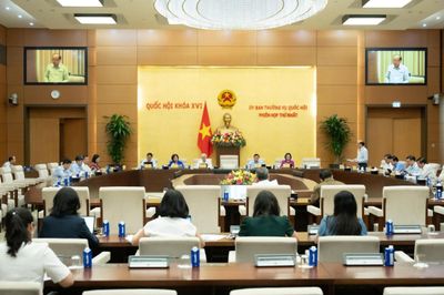 Nhiều băn khoăn về nguồn nhân lực khi thí điểm chế định luật sư công