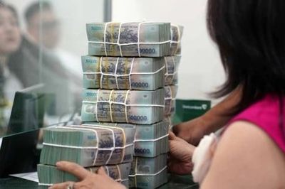 Ngưỡng miễn thuế hộ kinh doanh có thể thay đổi, không còn cố định 500 triệu