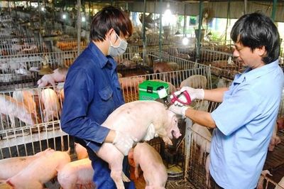 Siết chặt kiểm soát, phòng dịch bệnh trên biên giới Lạng Sơn