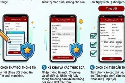 Hướng dẫn thay đổi thông tin người phụ thuộc trên Etax Mobile