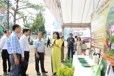 Gia Lai: Trải nghiệm không gian cà phê đặc sản, sản phẩm OCOP