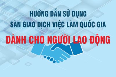 Hướng dẫn sử dụng Sàn giao dịch việc làm quốc gia dành cho người lao động