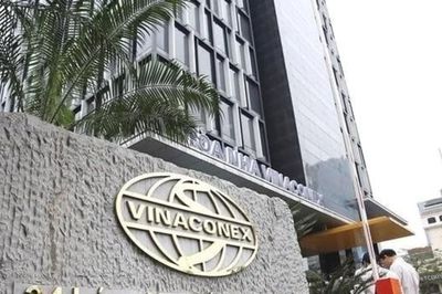 Vinaconex 'ngắm' 48% vốn GTD, bước đi chiến lược hay thâu tóm?