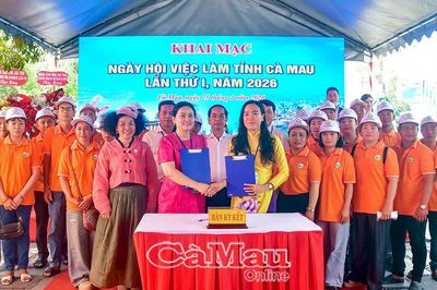 Kết nối việc làm cho hơn 600 lao động trẻ Cà Mau