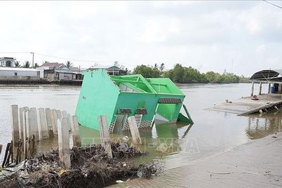 Khẩn trương khắc phục các điểm sạt lở nghiêm trọng tại xã Đầm Dơi