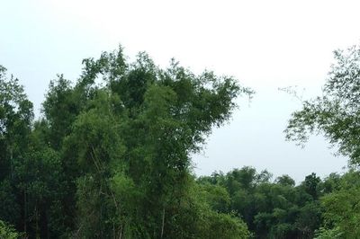 Mực nước các sông hạ thấp, trạm bơm khó vận hành