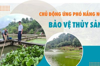 Chủ động ứng phó nắng nóng, bảo vệ thủy sản