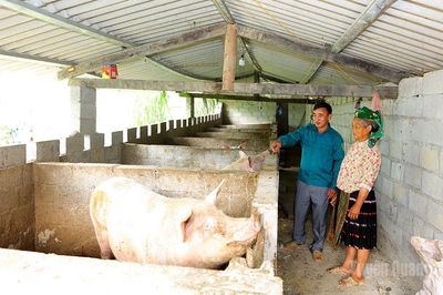 Há Lìa nỗ lực vượt khó, từng bước thoát nghèo bền vững