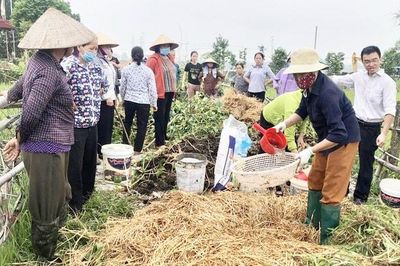 Phụ phẩm nông nghiệp - 'kho báu' sinh học bị lãng phí