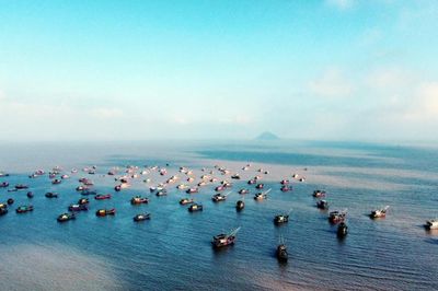 [Bài 1] Thủy sản ngành kinh tế mũi nhọn tại 'ngư trường trọng điểm' của vịnh Bắc Bộ