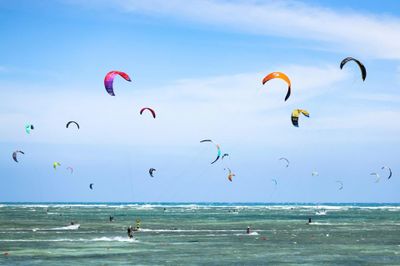 Thể thao biển: Cú hích từ những con sóng