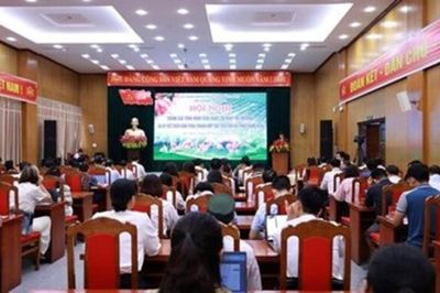 Giá vải thiều Bắc Ninh năm 2026 chạm mốc 120.000 đồng/kg dù mất mùa 50%