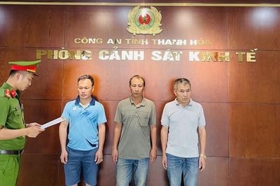Ba 'đất tặc' bị khởi tố