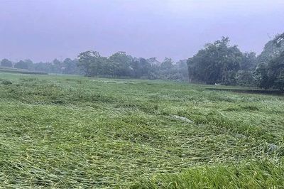 Khẩn trương khắc phục thiệt hại do mưa đá, dông lốc