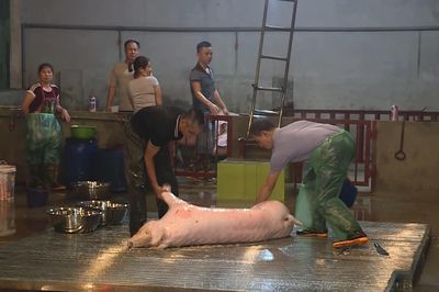 Đến 30/6, Hà Nội sẽ không còn điểm giết mổ nhỏ lẻ