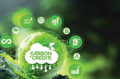Kích hoạt thị trường carbon rừng: Mở 'dòng tiền xanh' từ tài nguyên rừng
