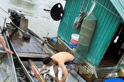 Hàng tấn cá nuôi lồng bè trên sông Lam chết trắng đồng loạt
