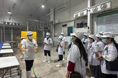 Phường Văn Miếu - Quốc Tử Giám siết kỷ cương an toàn thực phẩm từ các điểm nguy cơ cao