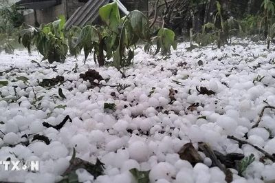 Mưa đá, dông lốc hoành hành: 3.100 ngôi nhà, 15.722 ha lúa bị thiệt hại