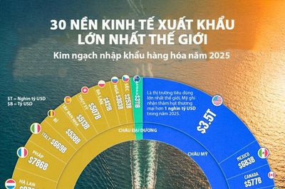 30 nền kinh tế nhập khẩu nhiều nhất thế giới, Việt Nam cũng có mặt