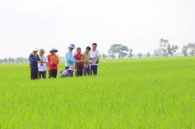 Từ 'cánh đồng sinh tồn' đến tư duy kinh tế bền vững