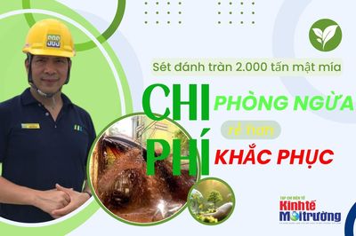 Từ vụ tràn 2.000 tấn mật mía do sét đánh: Chi phí phòng ngừa rẻ hơn nhiều chi phí khắc phục